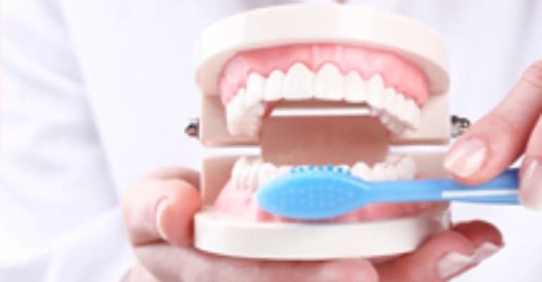Oral Hygiene Education - Miami or Coral Gable Dental Office